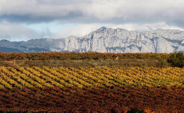 Palomares. Sector central de la Sierra de Cantabria o de Toloño donde se encuentran sus cotas más altas, Recilla (1.380 m.), Palomares y La Rasa (1.454 m.)y Cruz del Castillo (1.431 m.), sobre viñedos de Rioja Alavesa. 