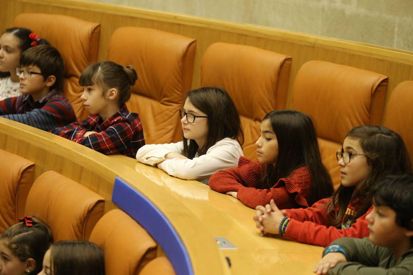 Un grupo de escolares de quinto de Primaria del Colegio Villapatro de Lardero han leído hoy, en el Parlamento de La Rioja, unos manifiestos, que previamente habían redactado junto a sus profesores, sobre cuatro derechos de la infancia en el acto del Día del Niño.