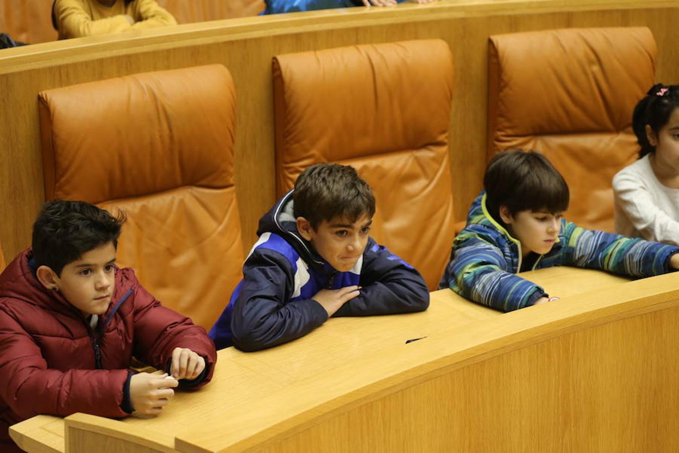 Un grupo de escolares de quinto de Primaria del Colegio Villapatro de Lardero han leído hoy, en el Parlamento de La Rioja, unos manifiestos, que previamente habían redactado junto a sus profesores, sobre cuatro derechos de la infancia en el acto del Día del Niño.