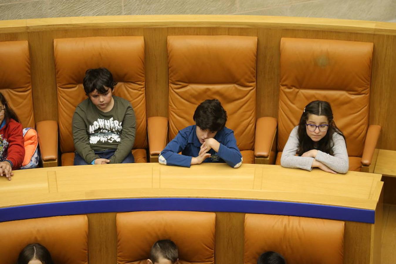 Un grupo de escolares de quinto de Primaria del Colegio Villapatro de Lardero han leído hoy, en el Parlamento de La Rioja, unos manifiestos, que previamente habían redactado junto a sus profesores, sobre cuatro derechos de la infancia en el acto del Día del Niño.