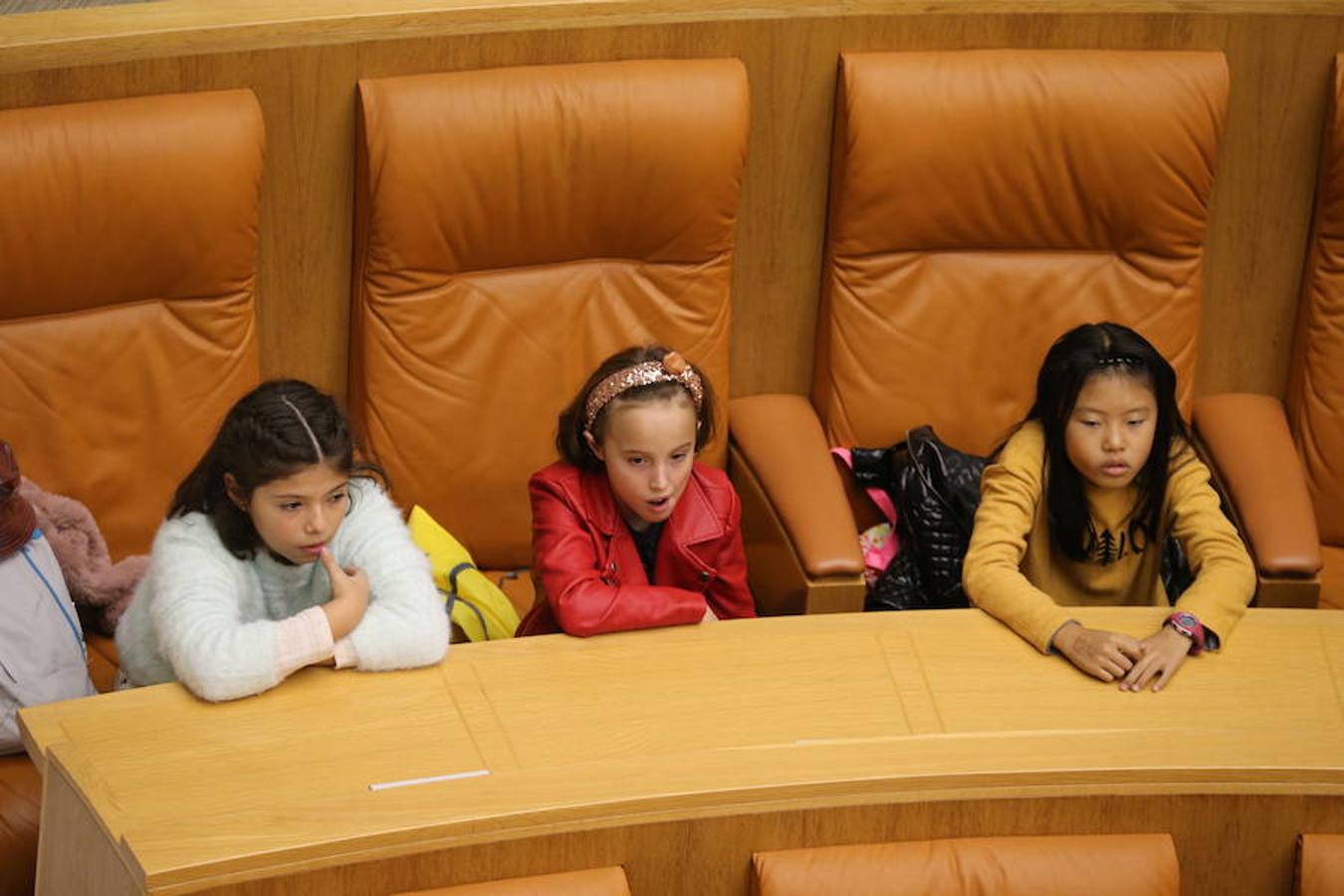 Un grupo de escolares de quinto de Primaria del Colegio Villapatro de Lardero han leído hoy, en el Parlamento de La Rioja, unos manifiestos, que previamente habían redactado junto a sus profesores, sobre cuatro derechos de la infancia en el acto del Día del Niño.