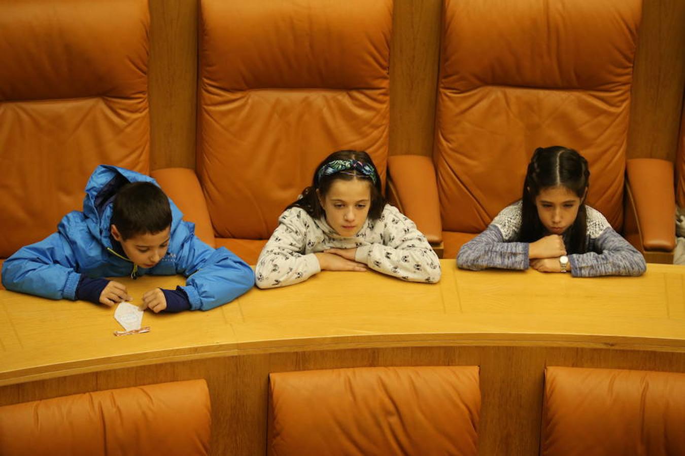 Un grupo de escolares de quinto de Primaria del Colegio Villapatro de Lardero han leído hoy, en el Parlamento de La Rioja, unos manifiestos, que previamente habían redactado junto a sus profesores, sobre cuatro derechos de la infancia en el acto del Día del Niño.