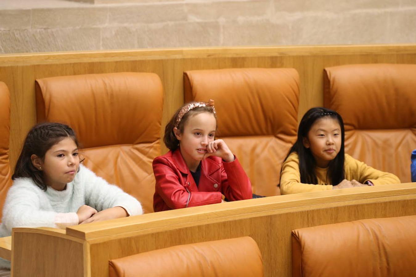 Un grupo de escolares de quinto de Primaria del Colegio Villapatro de Lardero han leído hoy, en el Parlamento de La Rioja, unos manifiestos, que previamente habían redactado junto a sus profesores, sobre cuatro derechos de la infancia en el acto del Día del Niño.