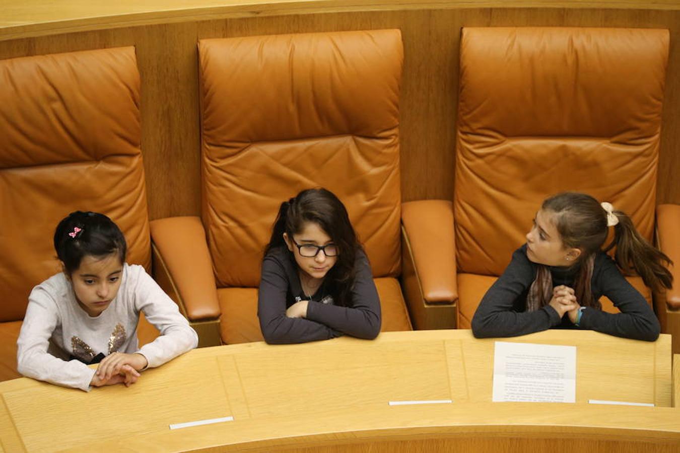 Un grupo de escolares de quinto de Primaria del Colegio Villapatro de Lardero han leído hoy, en el Parlamento de La Rioja, unos manifiestos, que previamente habían redactado junto a sus profesores, sobre cuatro derechos de la infancia en el acto del Día del Niño.