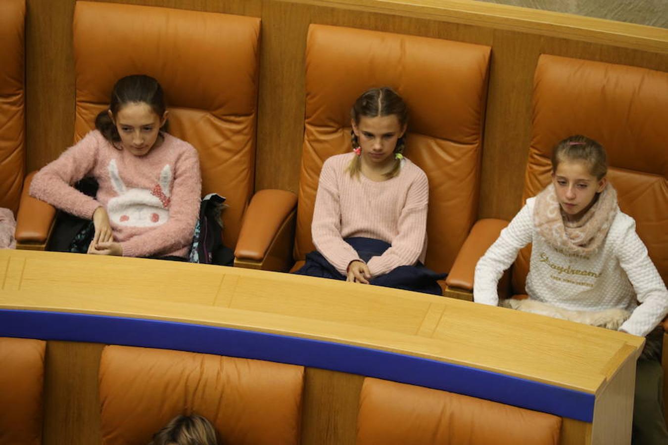 Un grupo de escolares de quinto de Primaria del Colegio Villapatro de Lardero han leído hoy, en el Parlamento de La Rioja, unos manifiestos, que previamente habían redactado junto a sus profesores, sobre cuatro derechos de la infancia en el acto del Día del Niño.