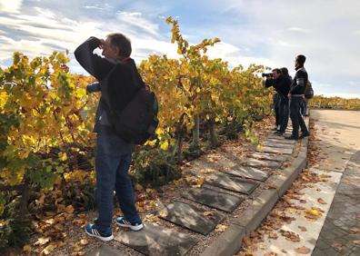 Imagen secundaria 1 - Varias instantáneas de los participantes en el rally en las bodegas Azabache y Manzanos. 