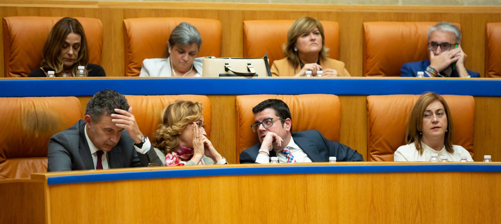 El Pleno del Parlamento aprueba la ILP de protección a los animales