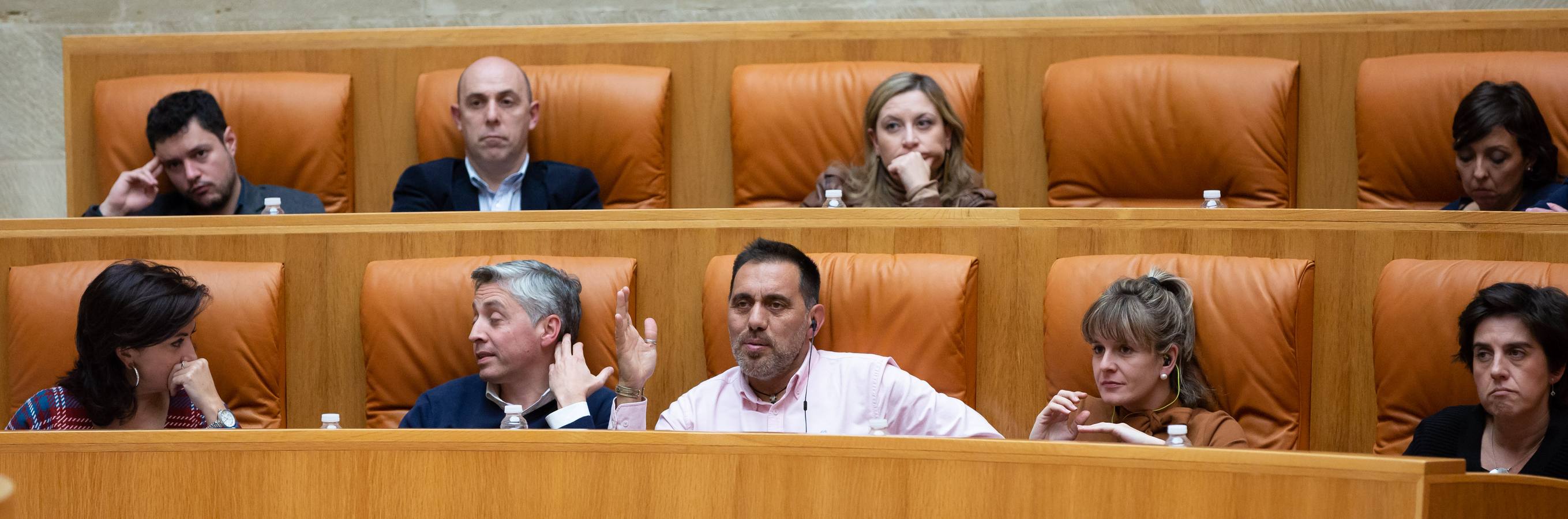 El Pleno del Parlamento aprueba la ILP de protección a los animales