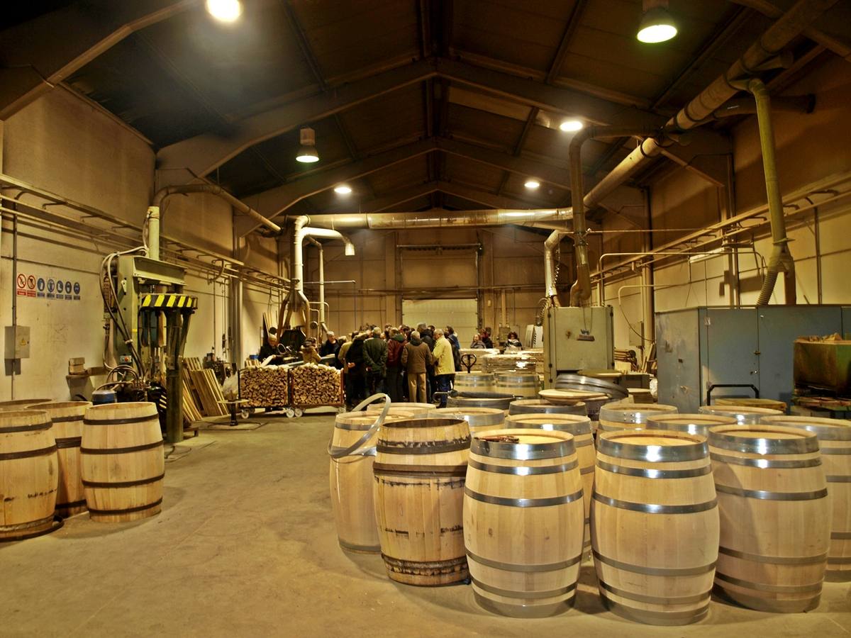 XVI Curso de Enología ´Ciudad de Cenicero´ organizado e impartido por la Universidad de La Rioja, dentro de sus Cursos de Verano. En esta edición las inscripciones han superado el centenar.