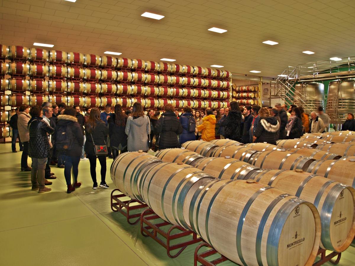 XVI Curso de Enología ´Ciudad de Cenicero´ organizado e impartido por la Universidad de La Rioja, dentro de sus Cursos de Verano. En esta edición las inscripciones han superado el centenar.