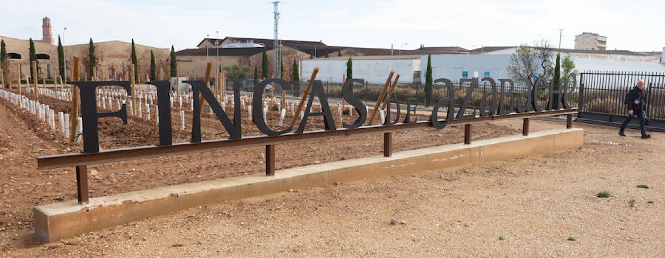 El sol y el buen tiempo se aliaron para hacer «la fotografía perfecta» en el VIII Rally Fotográfico del Rioja, que ayer reunió a 95 participantes y recorrió rincones y bodegas de Aldeanueva, Azagra y Navarrete