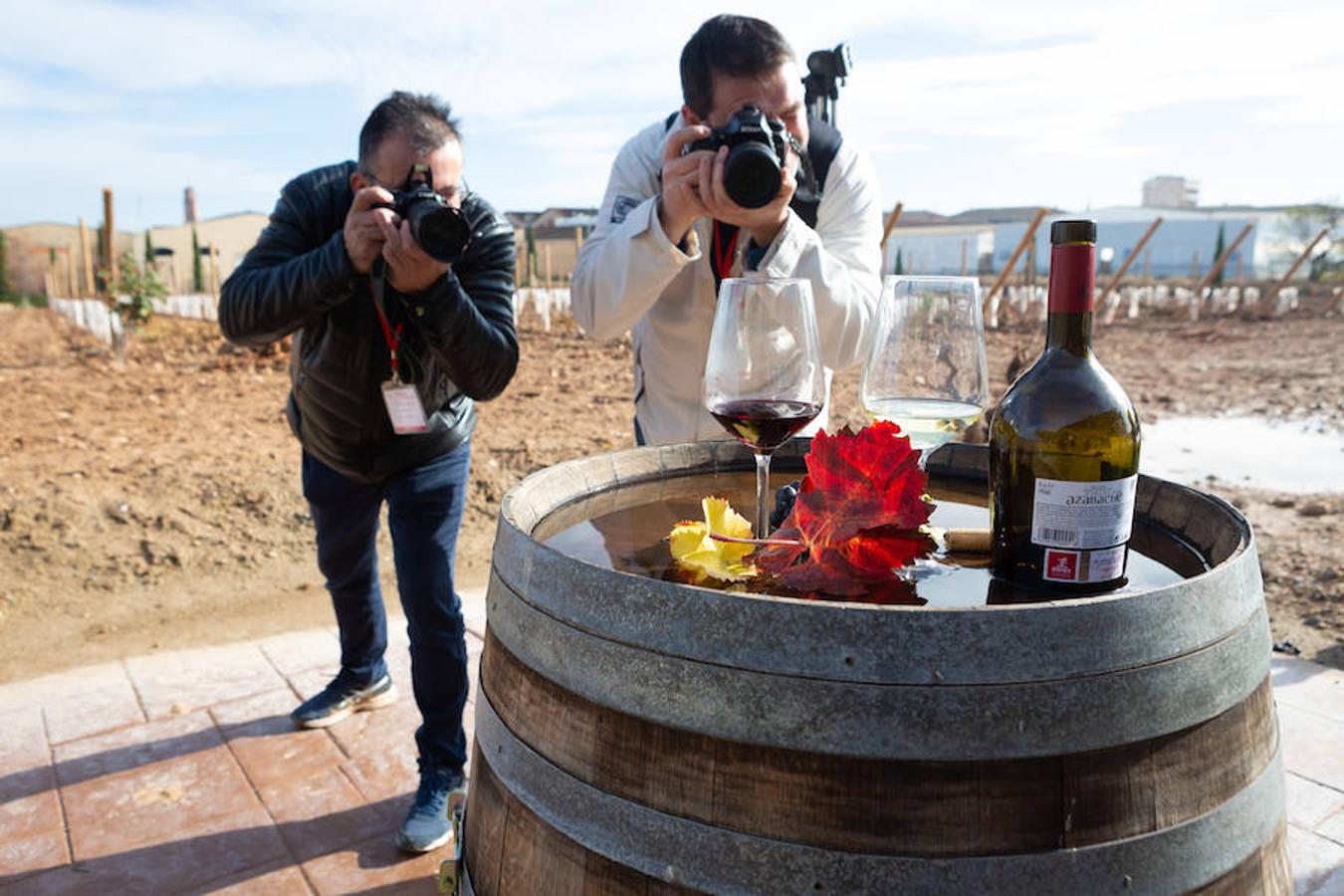 El sol y el buen tiempo se aliaron para hacer «la fotografía perfecta» en el VIII Rally Fotográfico del Rioja, que ayer reunió a 95 participantes y recorrió rincones y bodegas de Aldeanueva, Azagra y Navarrete