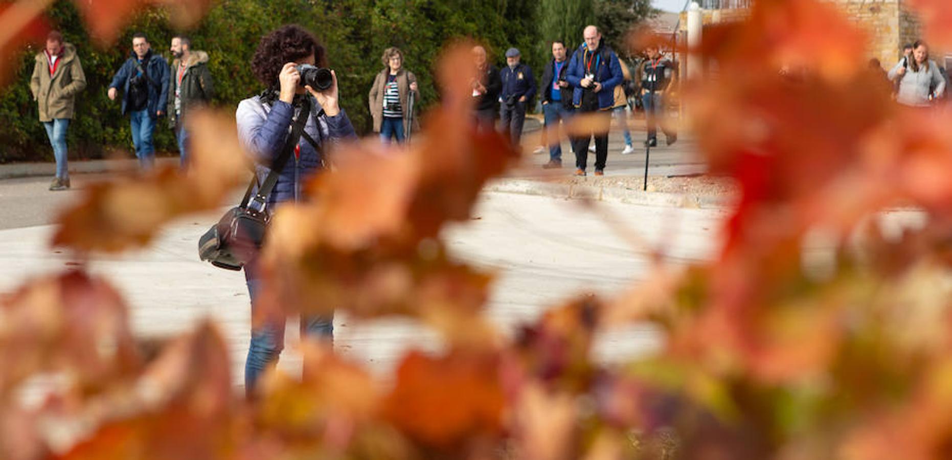 El sol y el buen tiempo se aliaron para hacer «la fotografía perfecta» en el VIII Rally Fotográfico del Rioja, que ayer reunió a 95 participantes y recorrió rincones y bodegas de Aldeanueva, Azagra y Navarrete 