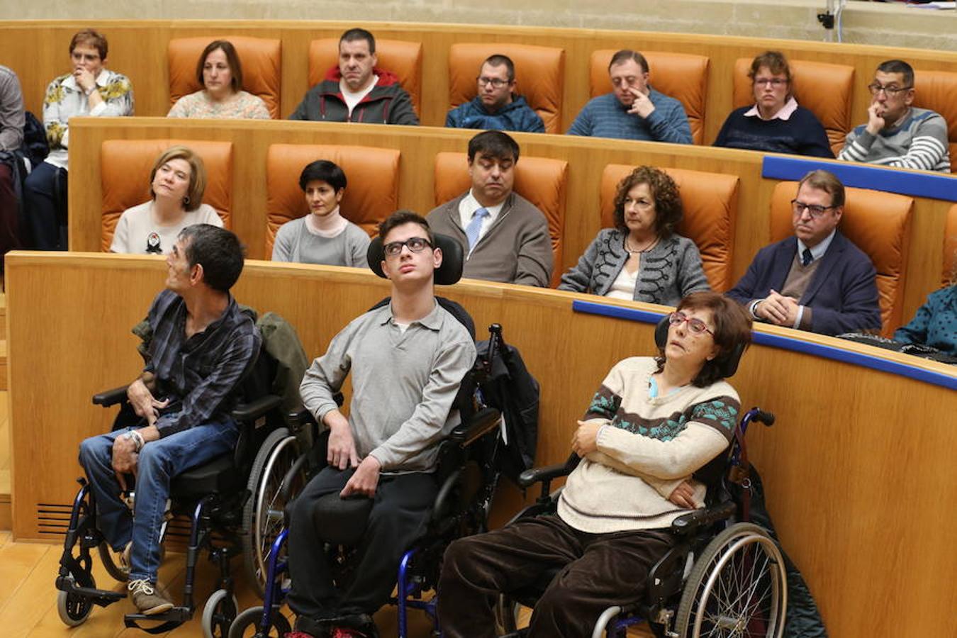 El Parlamento de La Rioja ha acogido el acto conmemorativo del Día Europeo e Internacional de las Personas con Discapacidad, organizado por el Comité Español de Representantes de Personas con Discapacidad (CERMI) en La Rioja. Parlamento.