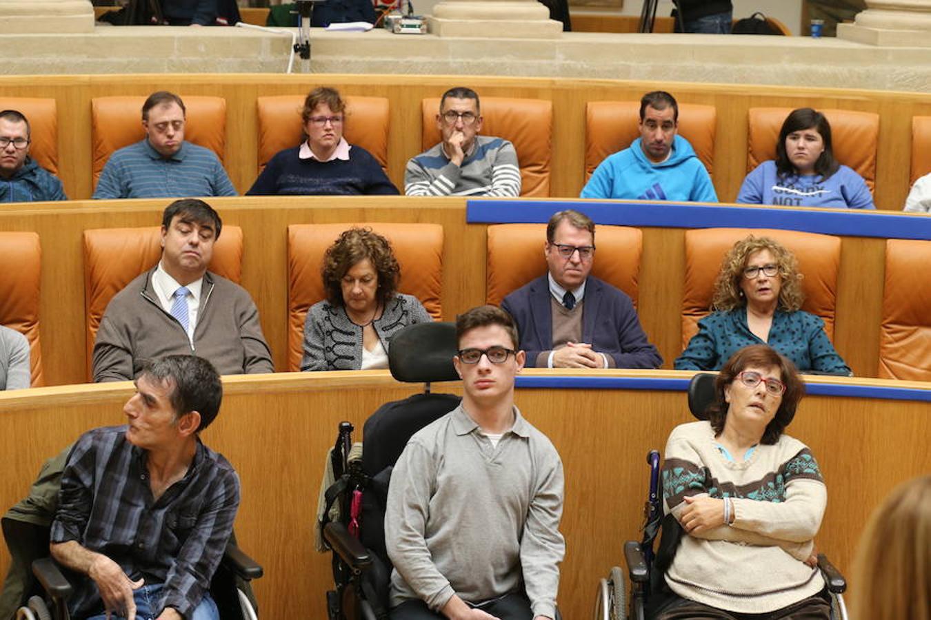 El Parlamento de La Rioja ha acogido el acto conmemorativo del Día Europeo e Internacional de las Personas con Discapacidad, organizado por el Comité Español de Representantes de Personas con Discapacidad (CERMI) en La Rioja. Parlamento.