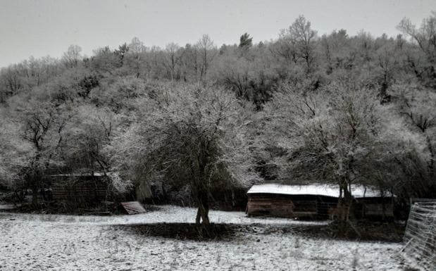 Llega la nieve (por fin)