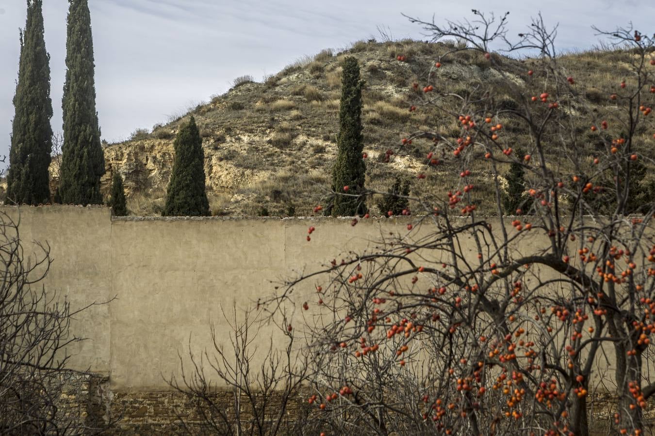 Los últimos datos del padrón confirman las cifras alarmantes de despoblación en el Alhama-Linares | La comarca de Cervera ha perdido casi un 60 por ciento de sus habitantes en los últimos cincuenta años 