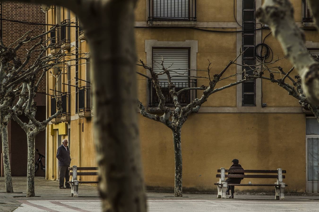 Los últimos datos del padrón confirman las cifras alarmantes de despoblación en el Alhama-Linares | La comarca de Cervera ha perdido casi un 60 por ciento de sus habitantes en los últimos cincuenta años 