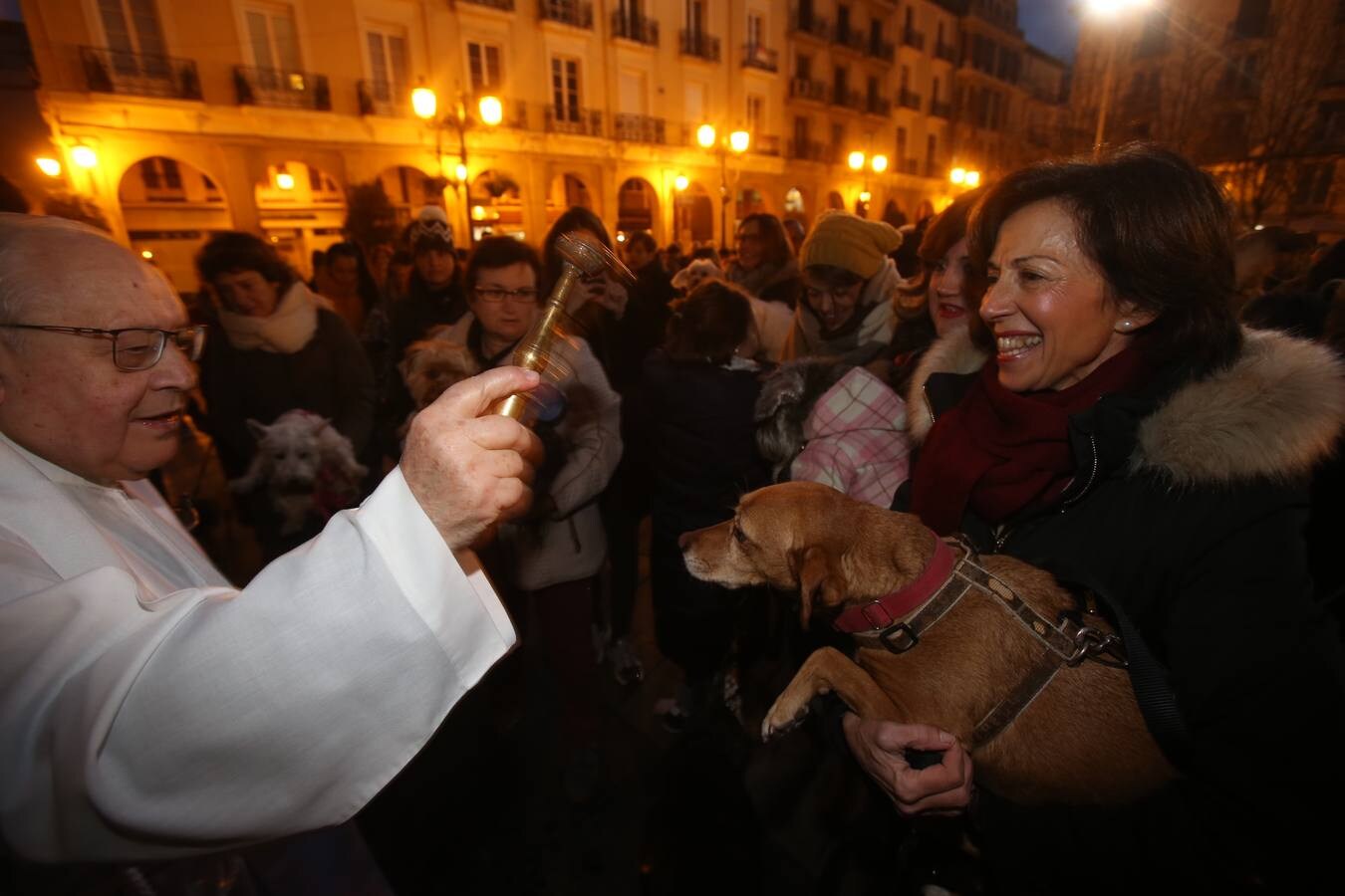 Los logroñeses bendicen a sus mascotas