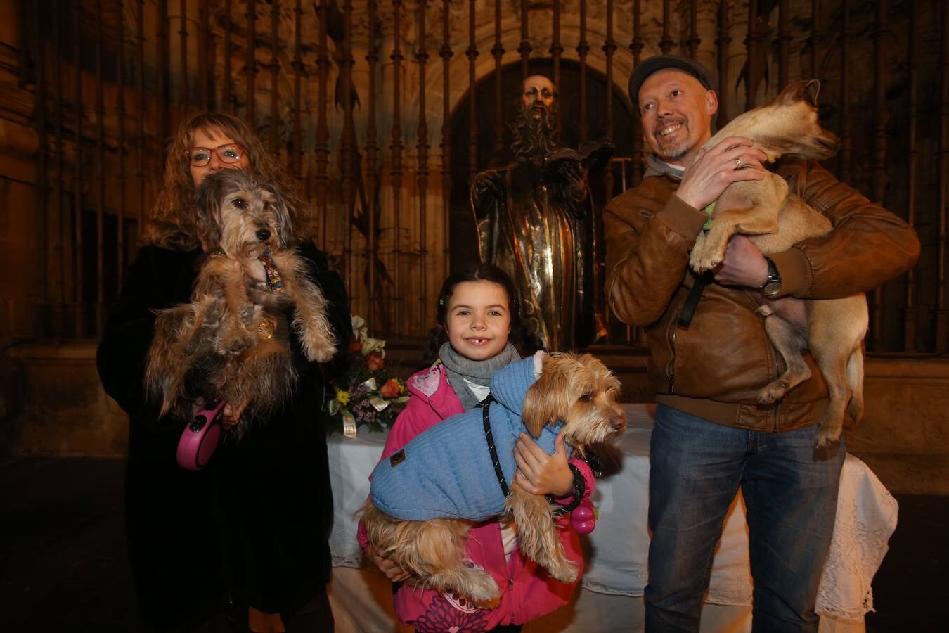 Los logroñeses bendicen a sus mascotas