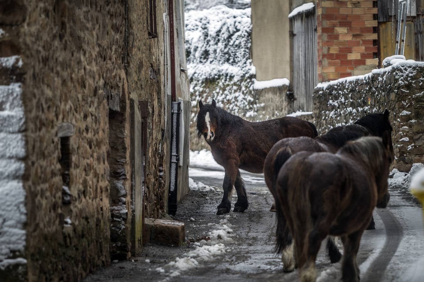 Fotos: La sierra riojana, cubierta por la nieve