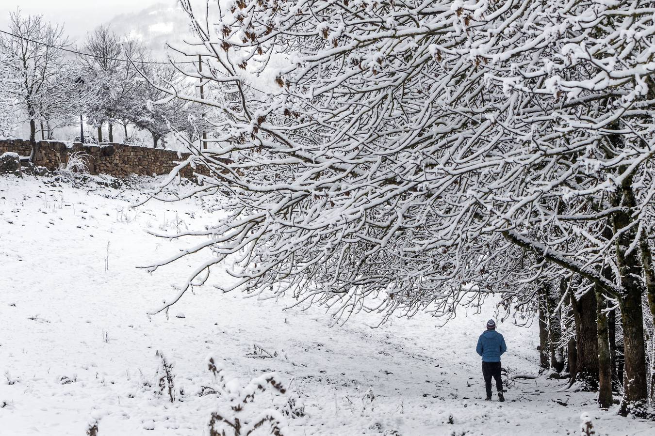 Fotos: La sierra riojana, cubierta por la nieve