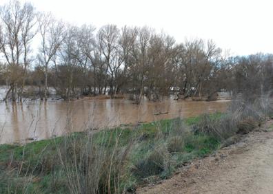Imagen secundaria 1 - El Ebro se tranquiliza