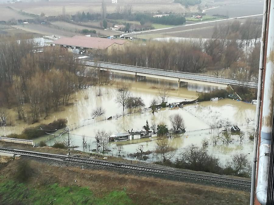 Fotos: Las lluvias provocan que los campos se aneguen en Haro