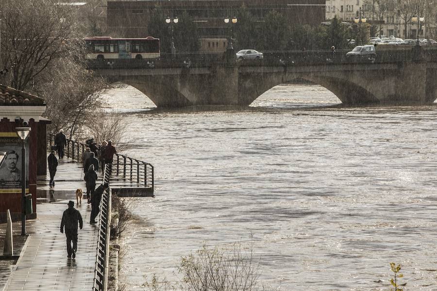 Numerosos ciudadanos se acercaron a ver las revueltas aguas durante la jornada