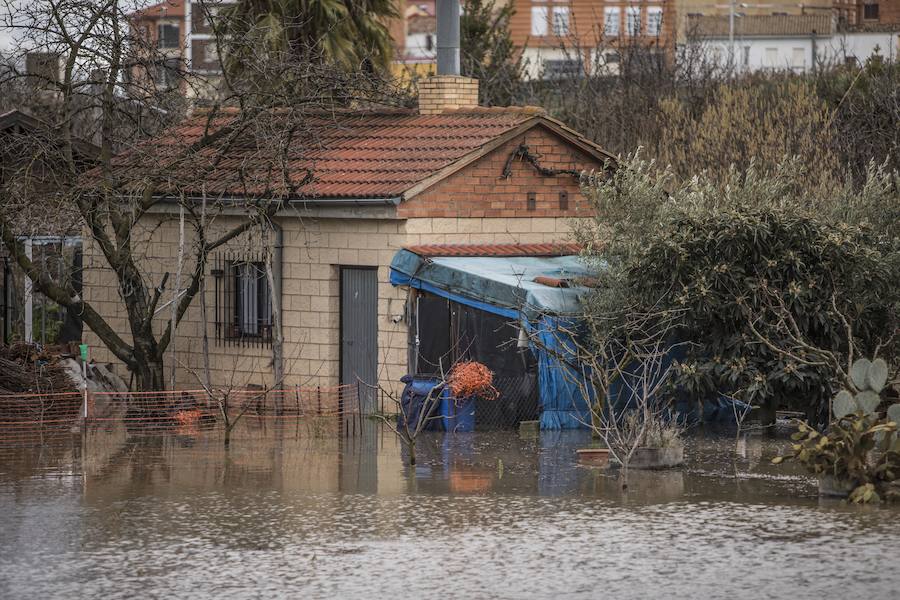 Numerosos ciudadanos se acercaron a ver las revueltas aguas durante la jornada