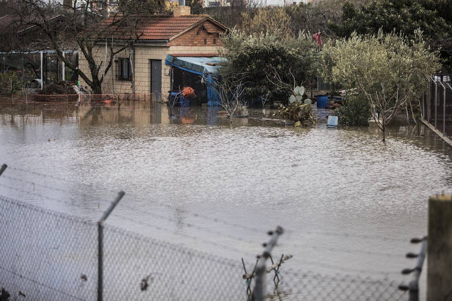 Numerosos ciudadanos se acercaron a ver las revueltas aguas durante la jornada