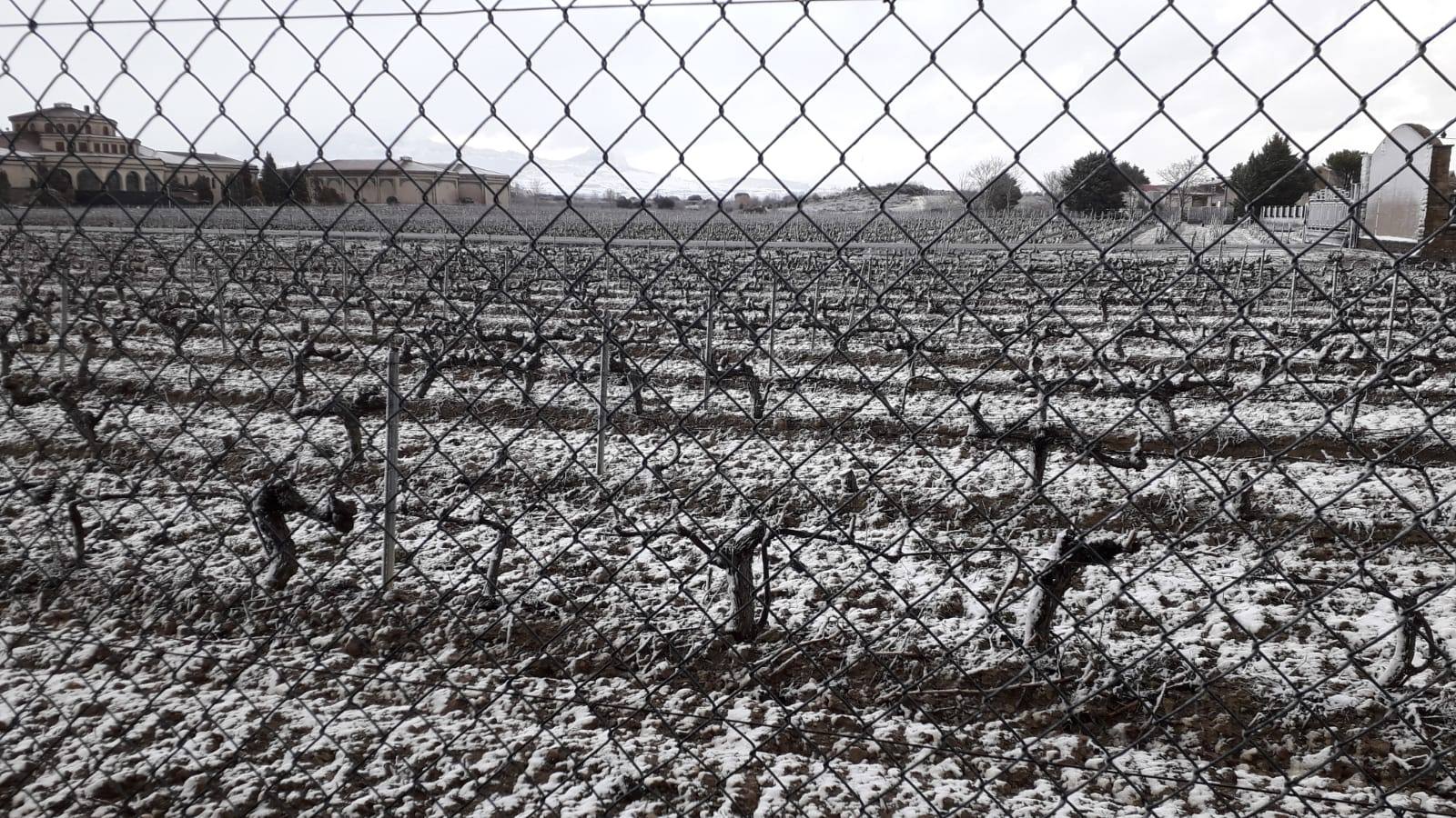 Fotos: La Rioja se tiñe de blanco (II)