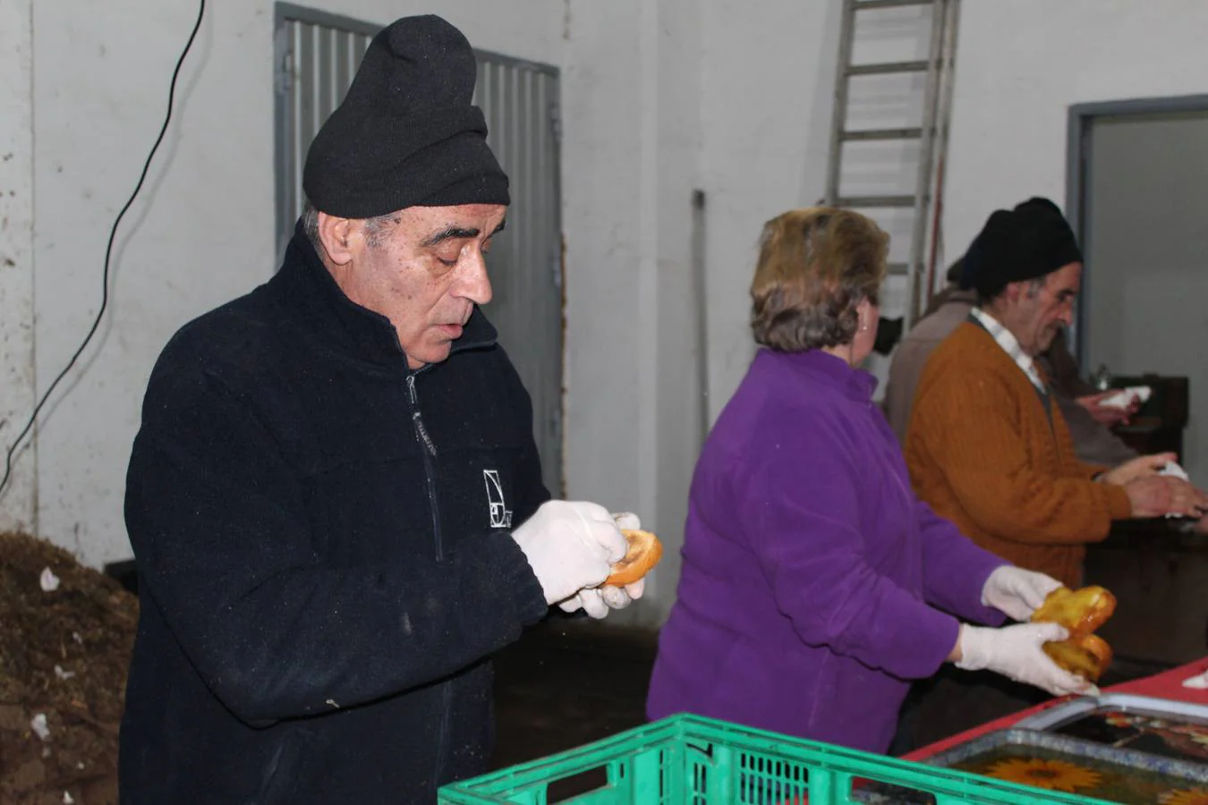 XIII día de la tostá que celebró este sábado el trujal de la Cooperativa Agrícola Cerverana en Cervera del Río Alhama