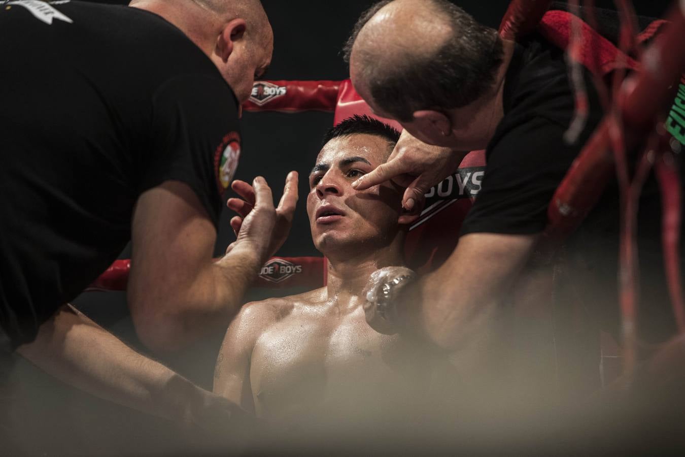 Los equipos Euskobox Green (País Vasco) y Guerreros del Bronx (Galicia) han empatado de nuevo en esta quinta jornada de la segunda vuelta de la 'Liga Marathonbet' gracias a las cuatro victorias que consiguió cada equipo este sábado en Logroño