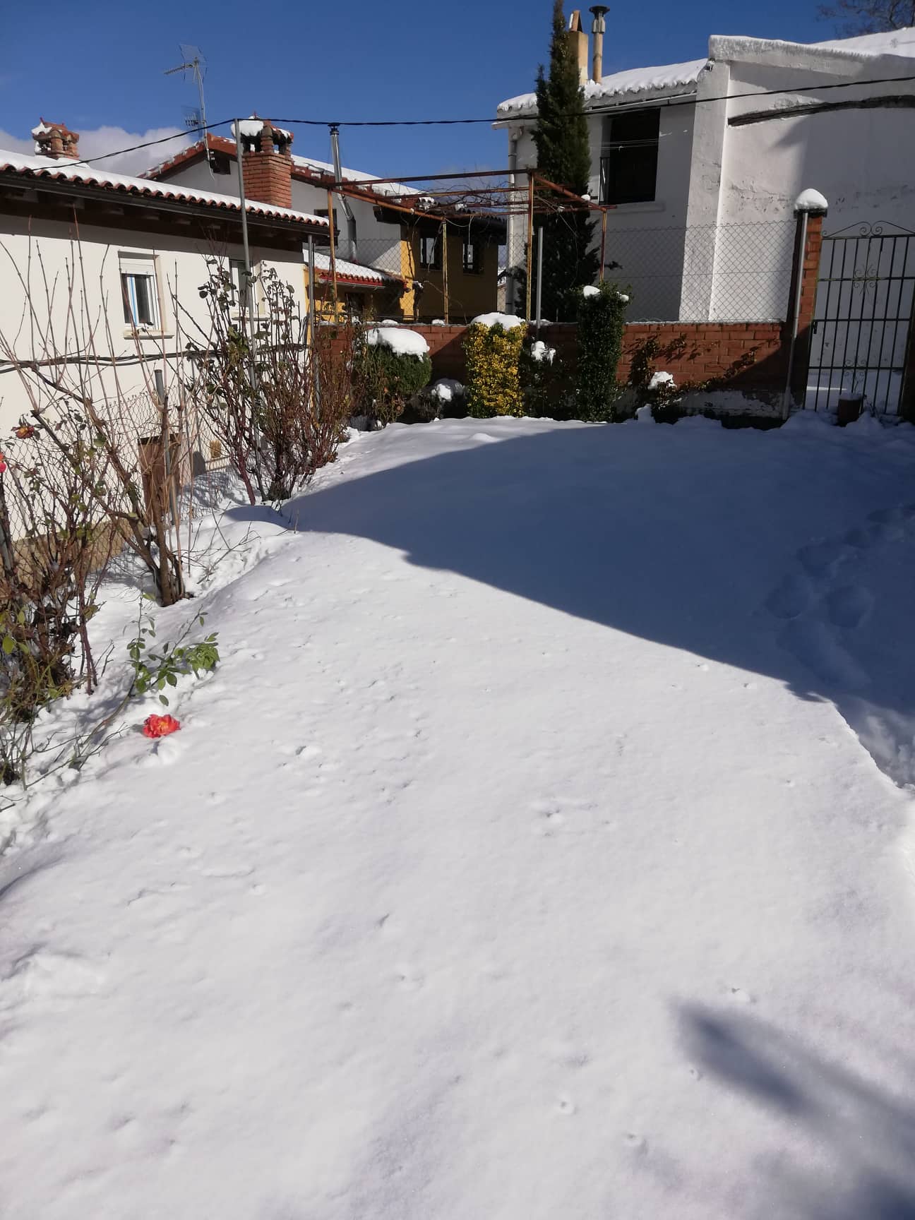 Fotos: La nieve cubre Jubera