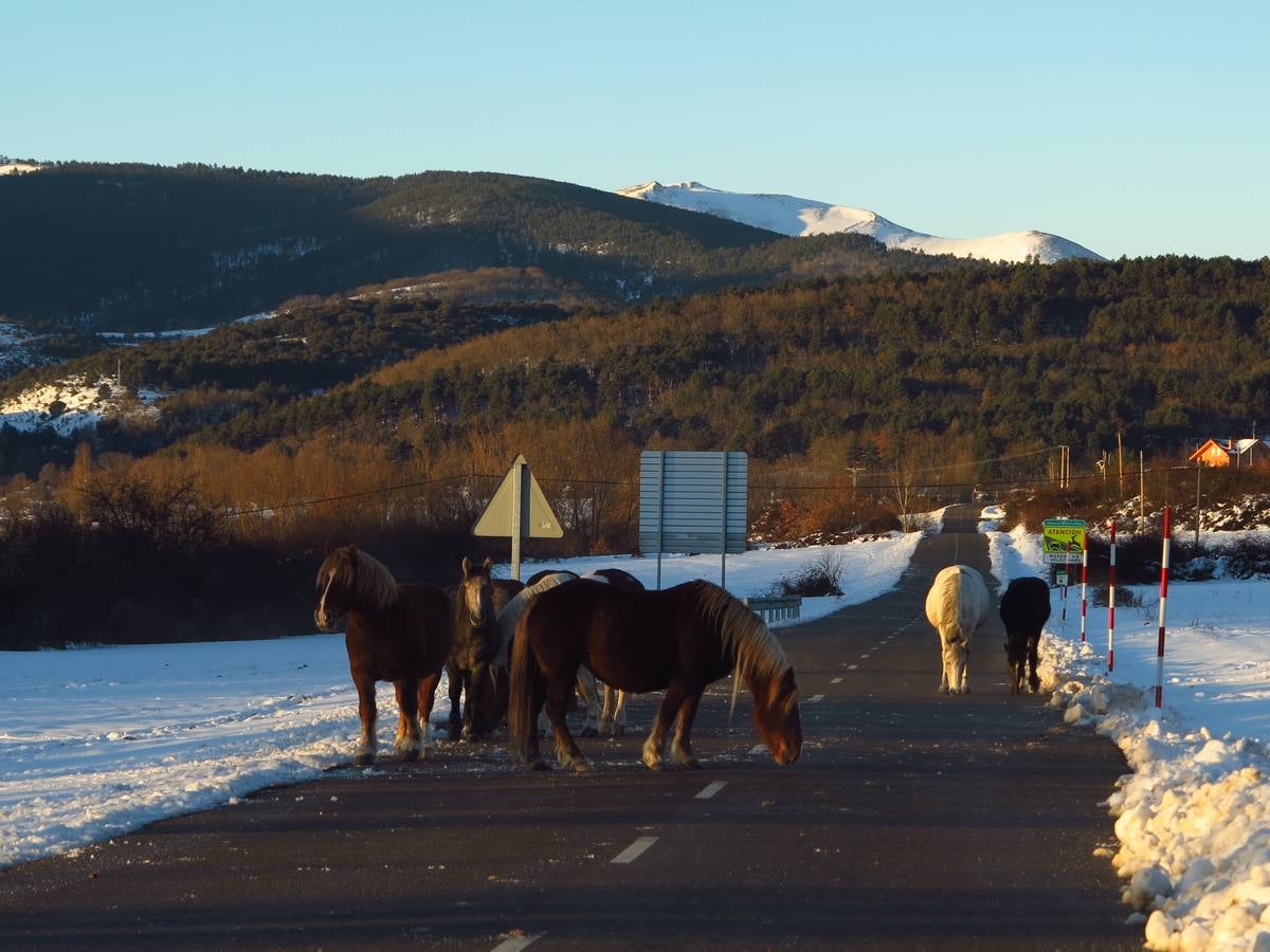 Después de un fin de semana de nieve y frío, El Rasillo comienza la semana con sol y deja unas preciosas imágenes