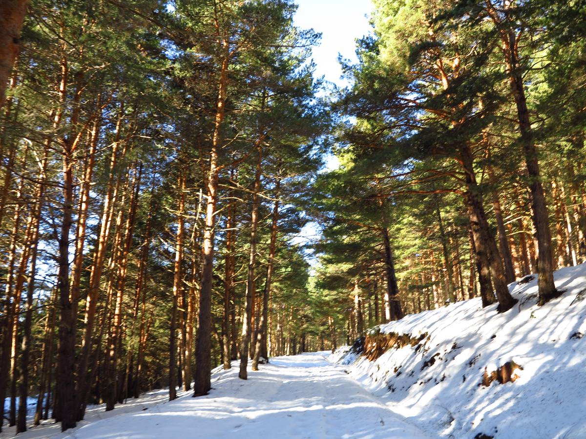 Después de un fin de semana de nieve y frío, El Rasillo comienza la semana con sol y deja unas preciosas imágenes