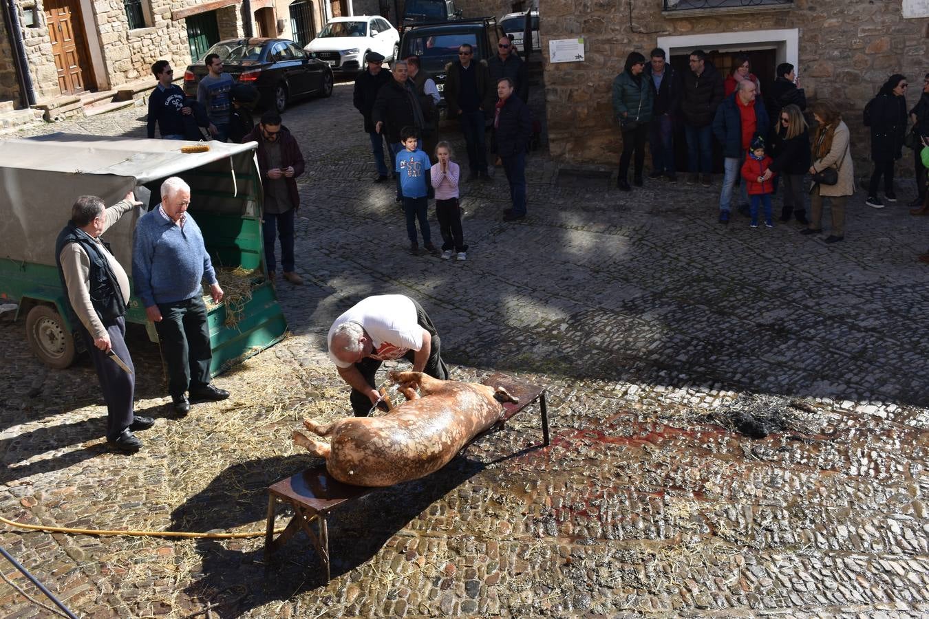 XXI Jornadas de la Moraga en San Román de Cameros.