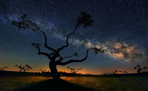 Una nueva ventana hacia el universo