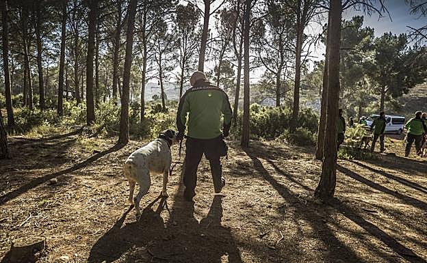 Imagen principal - Cuestión de olfato: así trabaja la Unidad Canina de Rescate de La Rioja