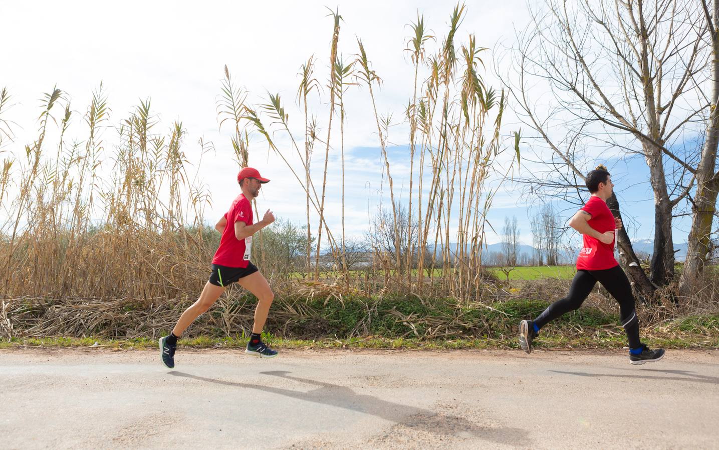 Fotos: Media Maratón del Camino (I)