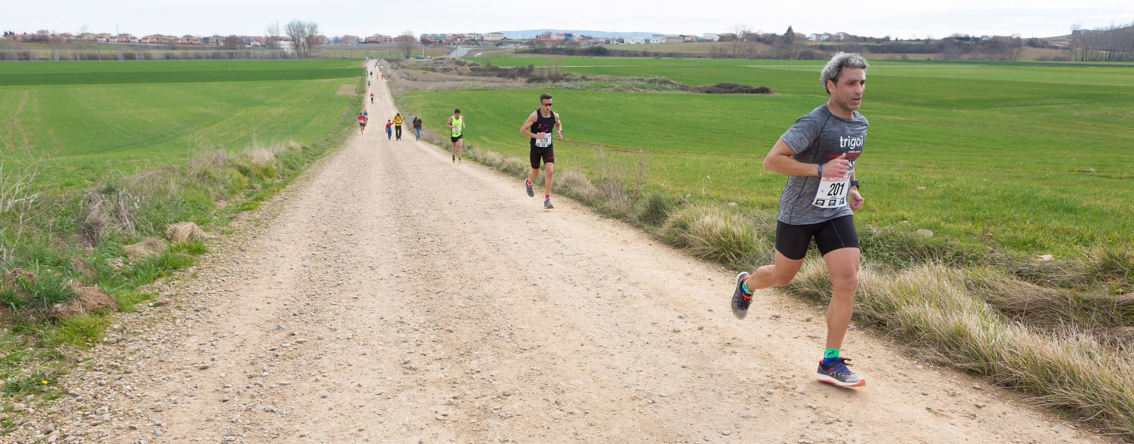 Fotos: Media Maratón del Camino (I)