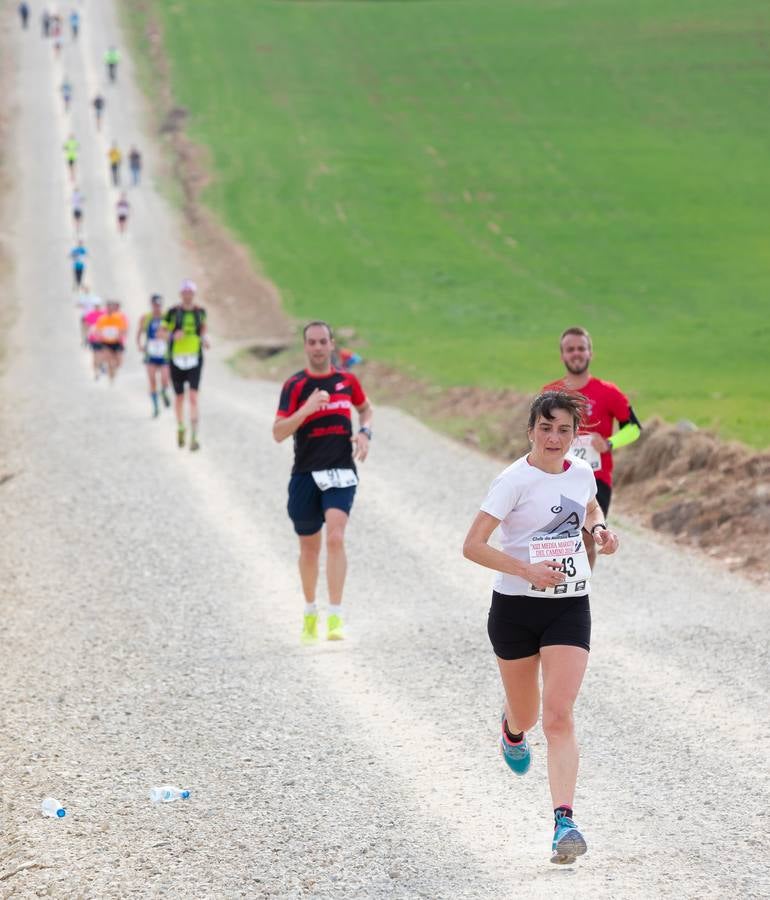 Fotos: Media Maratón del Camino (II)