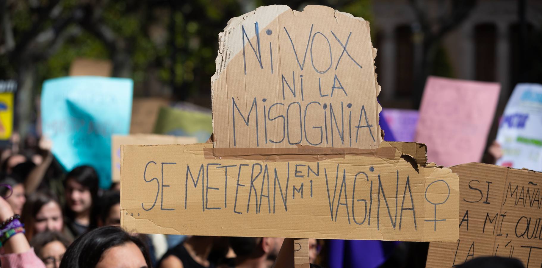 Fotos: La manifestación feminista estudiantil en Logroño, de camino a La Concha