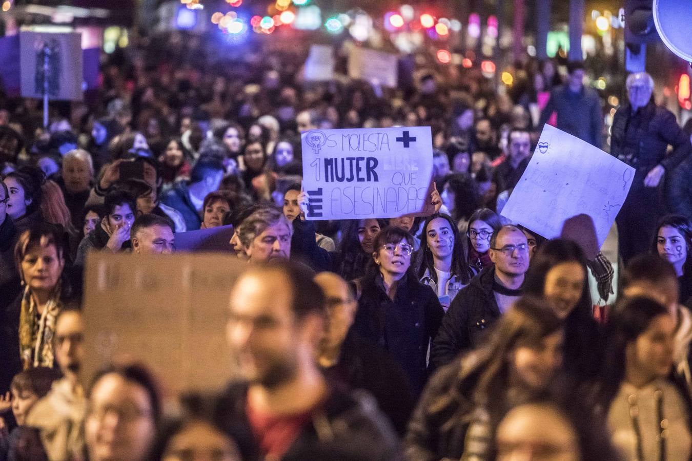 Fotos: La manifestación del Día de la Mujer llena al anocchecer las calles de Logroño