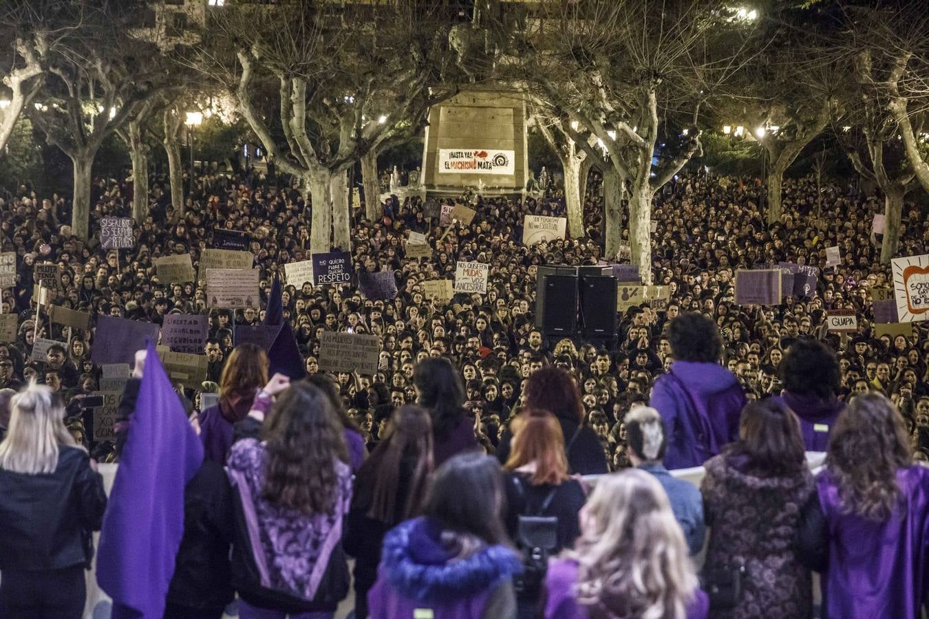 Fotos: La manifestación del Día de la Mujer llena al anocchecer las calles de Logroño