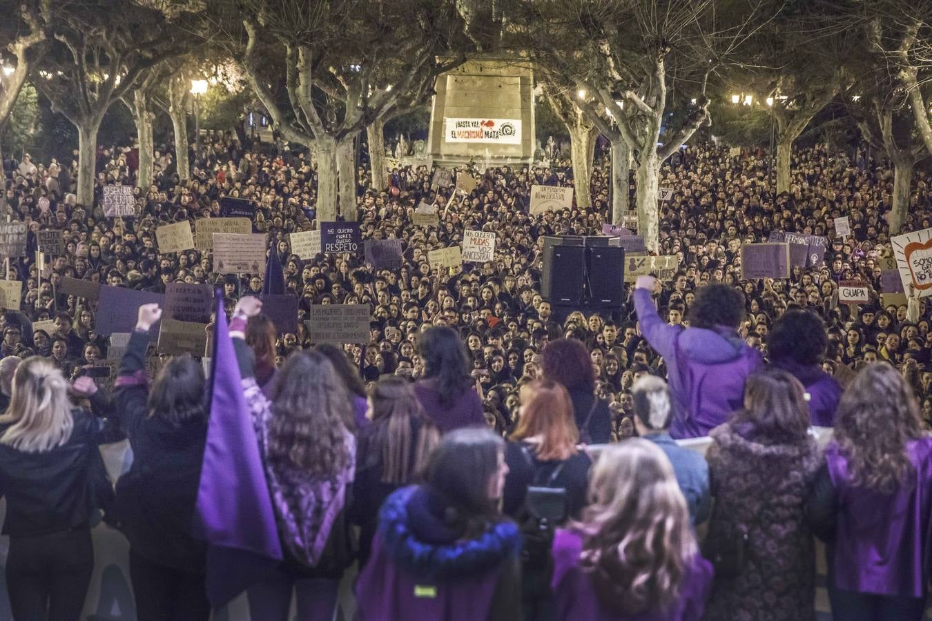 Fotos: La manifestación del Día de la Mujer llena al anocchecer las calles de Logroño