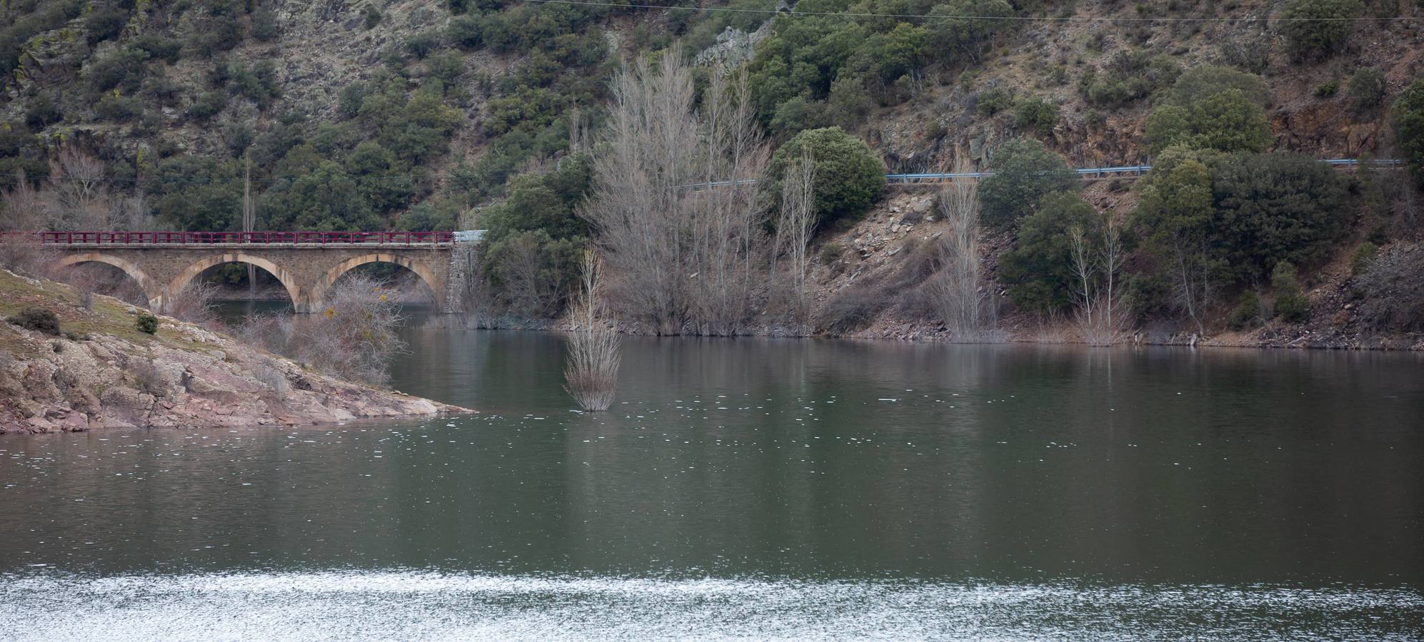 Fotos: Estado del pantano de Mansilla y sus alrededores