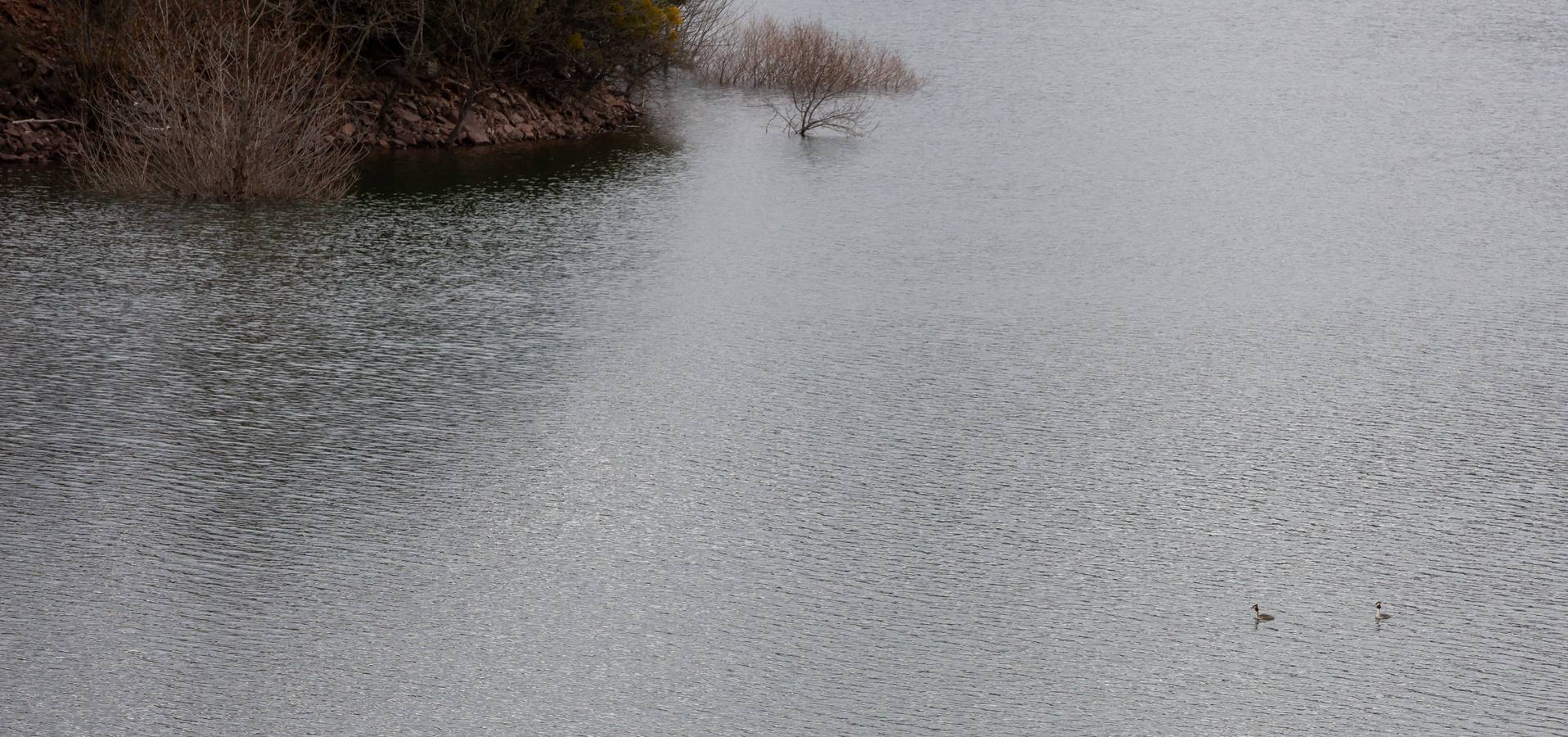 Fotos: Estado del pantano de Mansilla y sus alrededores