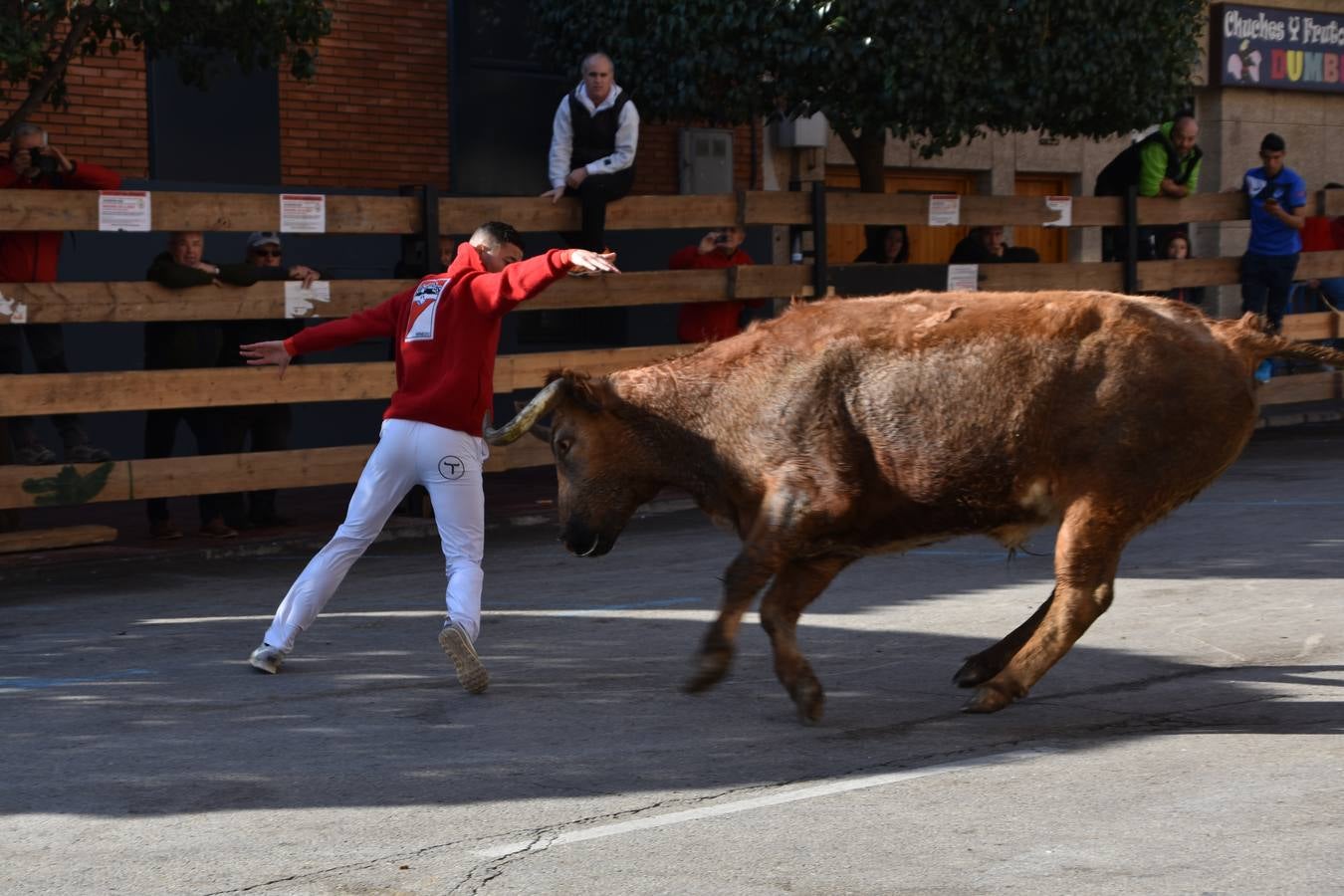Imágenes de los actos celebrados el sábado por la mañana